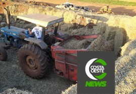 Expedição Costa Oeste: Com temperatura negativas geadas voltam a castigar lavouras e pastagens 