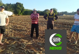 Expedição Costa Oeste: Com temperatura negativas geadas voltam a castigar lavouras e pastagens 