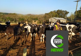 Expedição Costa Oeste: Com temperatura negativas geadas voltam a castigar lavouras e pastagens 