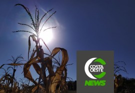 Expedição Costa Oeste: Com temperatura negativas geadas voltam a castigar lavouras e pastagens 