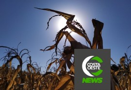 Expedição Costa Oeste: Com temperatura negativas geadas voltam a castigar lavouras e pastagens 