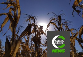 Expedição Costa Oeste: Com temperatura negativas geadas voltam a castigar lavouras e pastagens 