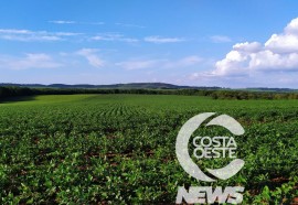 Expedição Costa Oeste: Agricultor relata alta dos insumos e prejuízo com granizo  