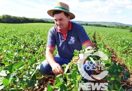 Expedição Costa Oeste: Agricultor relata alta dos insumos e prejuízo com granizo  