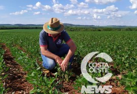 Expedição Costa Oeste: Agricultor relata alta dos insumos e prejuízo com granizo  