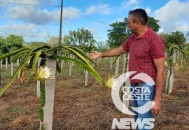 EXPEDIÇÃO COSTA OESTE 87