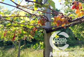 EXPEDIÇÃO COSTA OESTE 87