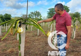 EXPEDIÇÃO COSTA OESTE 87