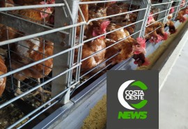 ‘Os Caminhos da Ração’ visita propriedade de ovos de postura comercial	 - Nº 61