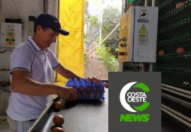 ‘Os Caminhos da Ração’ visita propriedade de ovos de postura comercial	 - Nº 61