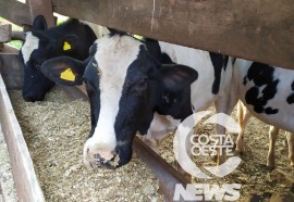  Produtor rural entende que para seguir em frente estudar é o melhor caminho