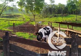  Produtor rural entende que para seguir em frente estudar é o melhor caminho