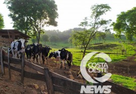  Produtor rural entende que para seguir em frente estudar é o melhor caminho