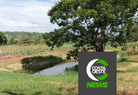 Com diversificação, criatividade e empreendedorismo rural família cresce no oeste paranaense 