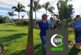 Com diversificação, criatividade e empreendedorismo rural família cresce no oeste paranaense 