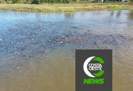 Com diversificação, criatividade e empreendedorismo rural família cresce no oeste paranaense 