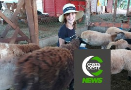 Com diversificação, criatividade e empreendedorismo rural família cresce no oeste paranaense 