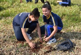 Assessoria São Miguel do Iguaçu