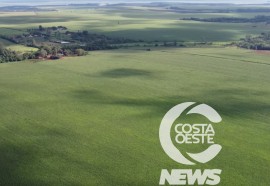 Expedição Costa Oeste sorgo 108