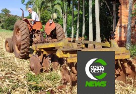 Produção de frango caipira mantém família no campo 