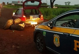 Durante final de semana, PRF no Paraná dá prejuízo de mais de R$ 4 milhões ao crime organizado