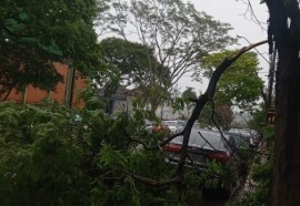 Temporal causa alagamentos, derruba árvores e descobre casas em Foz