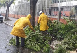 Temporal causa alagamentos, derruba árvores e descobre casas em Foz