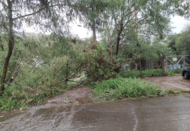 Temporal causa alagamentos, derruba árvores e descobre casas em Foz