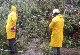 Temporal causa alagamentos, derruba árvores e descobre casas em Foz