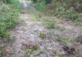 Temporal causa alagamentos, derruba árvores e descobre casas em Foz