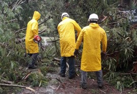 Temporal causa alagamentos, derruba árvores e descobre casas em Foz