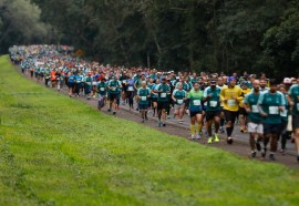 Meia Maratona das Cataratas - Foto: Jean Pavão