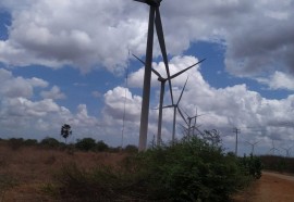 Fotos: Usina Eólica - Campo de trabalho da guairense Elaine Celestino