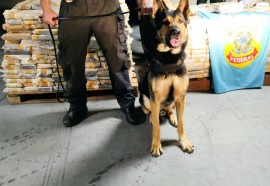 Foto: PF