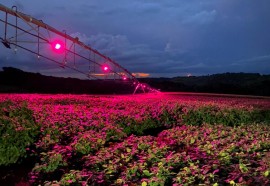 Imagens do pivô de irrigação de luz na propriedade do seu Vilmar no Rio Grande do Sul. Foto: Assessoria