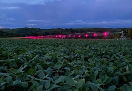 Imagens do pivô de irrigação de luz na propriedade do seu Vilmar no Rio Grande do Sul. Foto: Assessoria