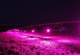 Imagens do pivô de irrigação de luz na propriedade do seu Vilmar no Rio Grande do Sul. Foto: Assessoria