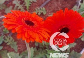 Expedição Costa Oeste 71 