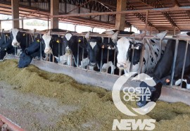 Receita de vó se torna o principal negócio da família Rossetto - Expedição Costa Oeste N. 72