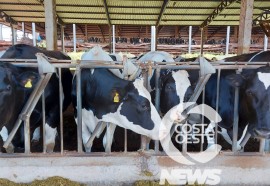 Receita de vó se torna o principal negócio da família Rossetto - Expedição Costa Oeste N. 72