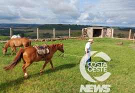 Expedição Costa Oeste 77: Empresário decide diversificar seus negócios com criação de gado de corte 