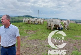 Expedição Costa Oeste 77: Empresário decide diversificar seus negócios com criação de gado de corte 