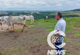 Expedição Costa Oeste 77: Empresário decide diversificar seus negócios com criação de gado de corte 