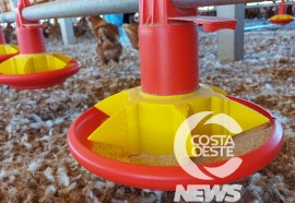 Expedição Costa Oeste 82