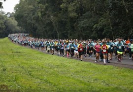 Faltam apenas 3 meses para a Meia Maratona das Cataratas. Foto: Roberto Lemos