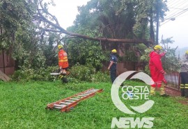 Foto: Costa Oeste News