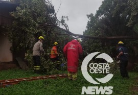 Foto: Costa Oeste News