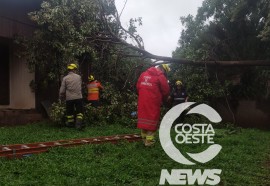 Foto: Costa Oeste News