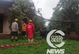 Foto: Costa Oeste News