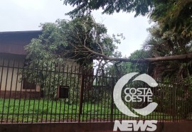 Foto: Costa Oeste News